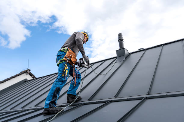 Best Skylight Installation and Repair  in Stonebridge, NJ